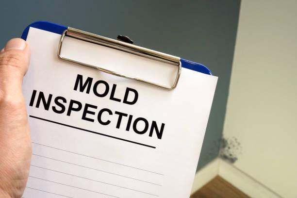 Mold Documentation for Insurance Claims in Heath, TX